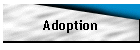 Adoption