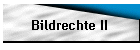 Bildrechte II