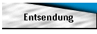 Entsendung