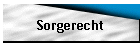 Sorgerecht